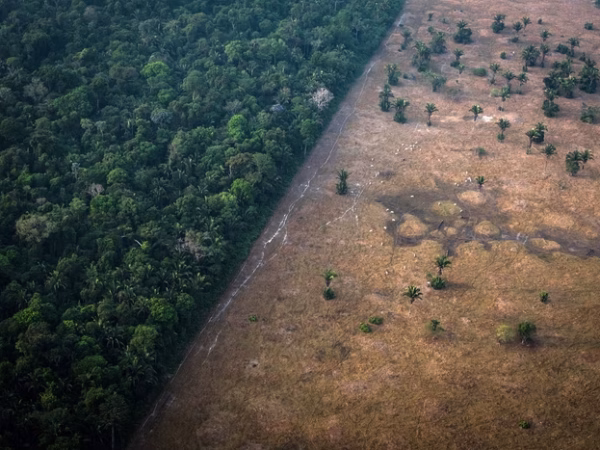 Eventos climáticos e os cinco PLs que representam o maior retrocesso ambiental no país